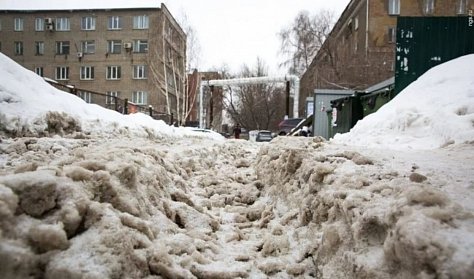 Владельцы неубранных территорий заплатят штраф